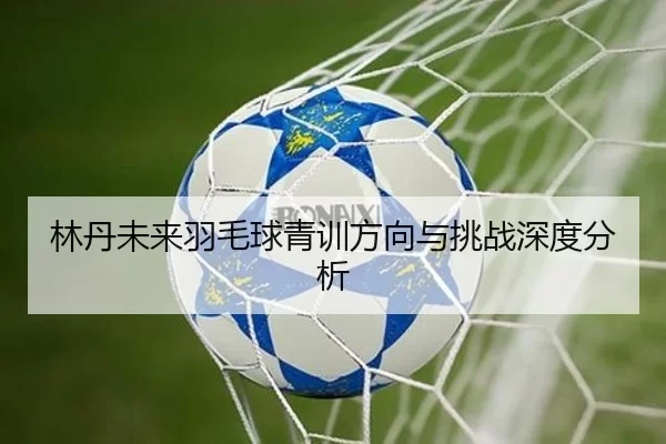 林丹未来羽毛球青训方向与挑战深度分析
