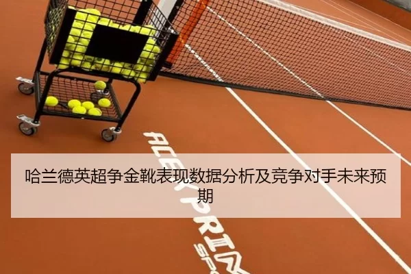 哈兰德英超争金靴表现数据分析及竞争对手未来预期